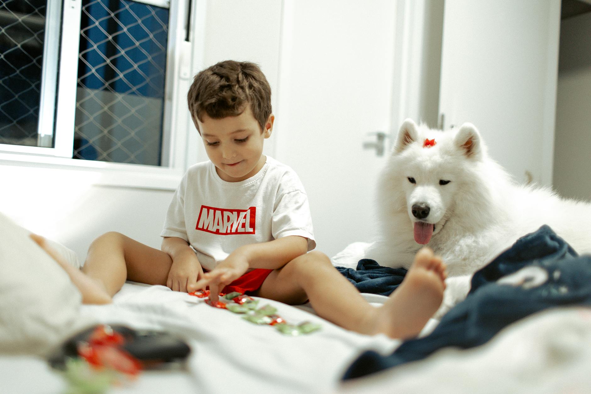 Comparaison côte à côte d'un chien robot quadrupède et d'un labrador, ambiance domestique chaleureuse